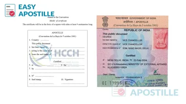 Left: India MEA apostille sticker sample; Right: model apostille certificate fields